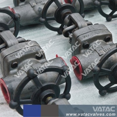 A105 Cl800 Socket Weld/Socket Welding Gate Valve